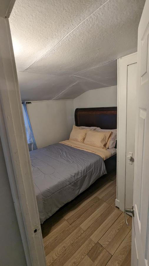 Cozy Downtown One Bedroom Free Parking Kingston Exteriér fotografie